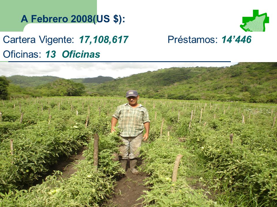 A Febrero 2008(US $): Cartera Vigente: 17,108,617 Préstamos: 14’446 Oficinas: 13 Oficinas