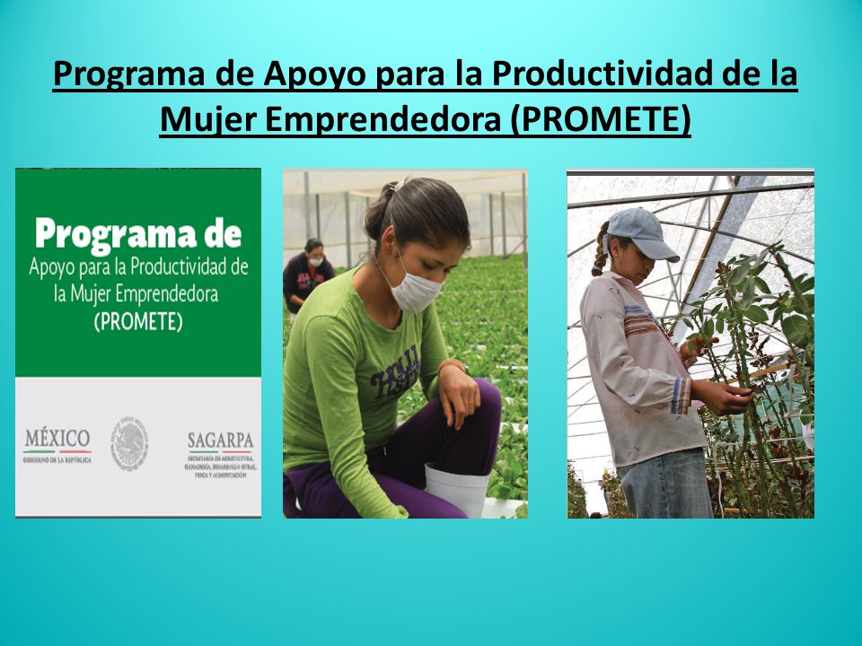 Programa de Apoyo para la Productividad de la Mujer Emprendedora (PROMETE)