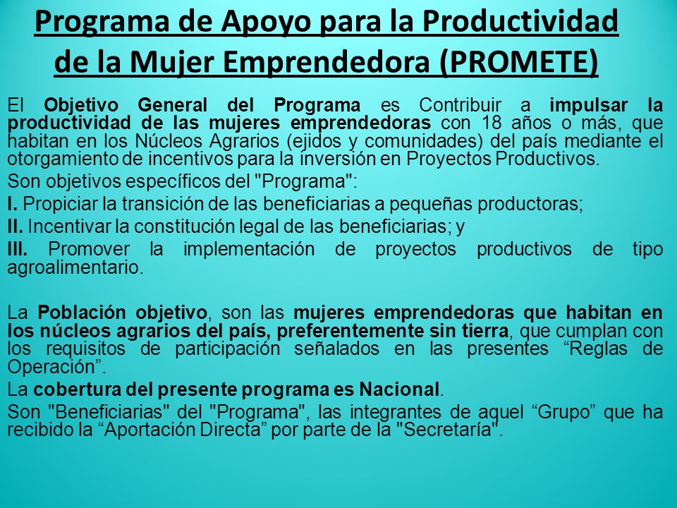 Programa de Apoyo para la Productividad de la Mujer Emprendedora (PROMETE)