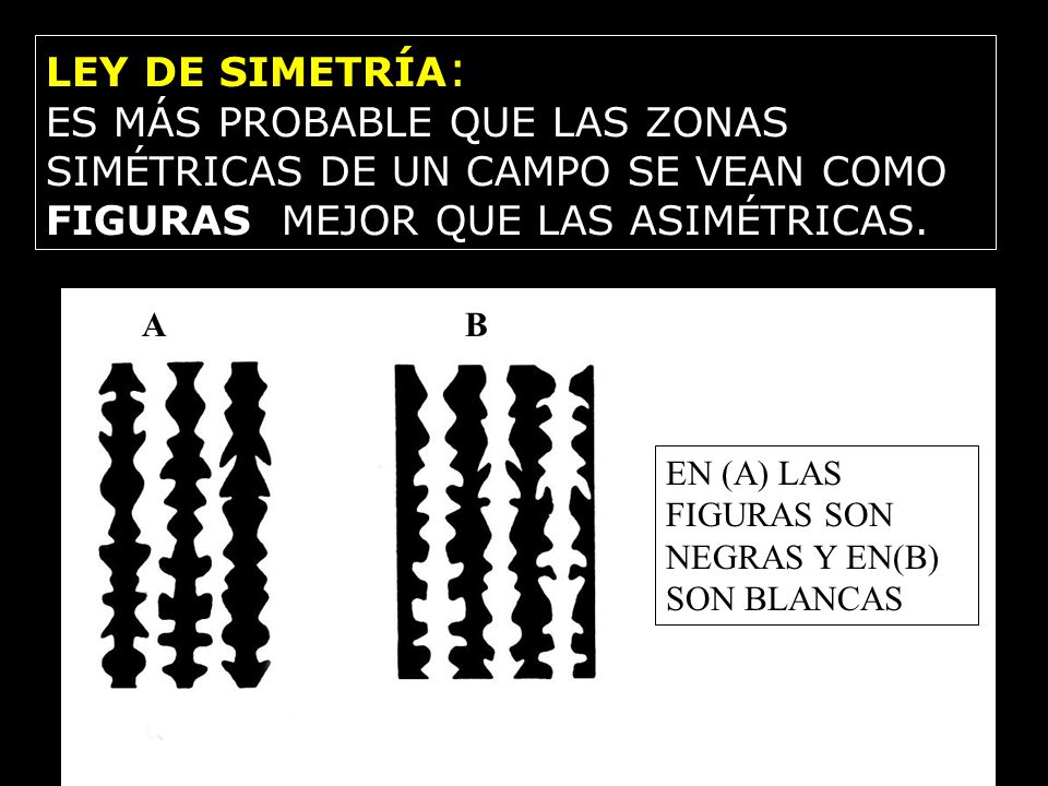 LEY DE SIMETRÍA: ES MÁS PROBABLE QUE LAS ZONAS SIMÉTRICAS DE UN CAMPO SE VEAN COMO FIGURAS MEJOR QUE LAS ASIMÉTRICAS.