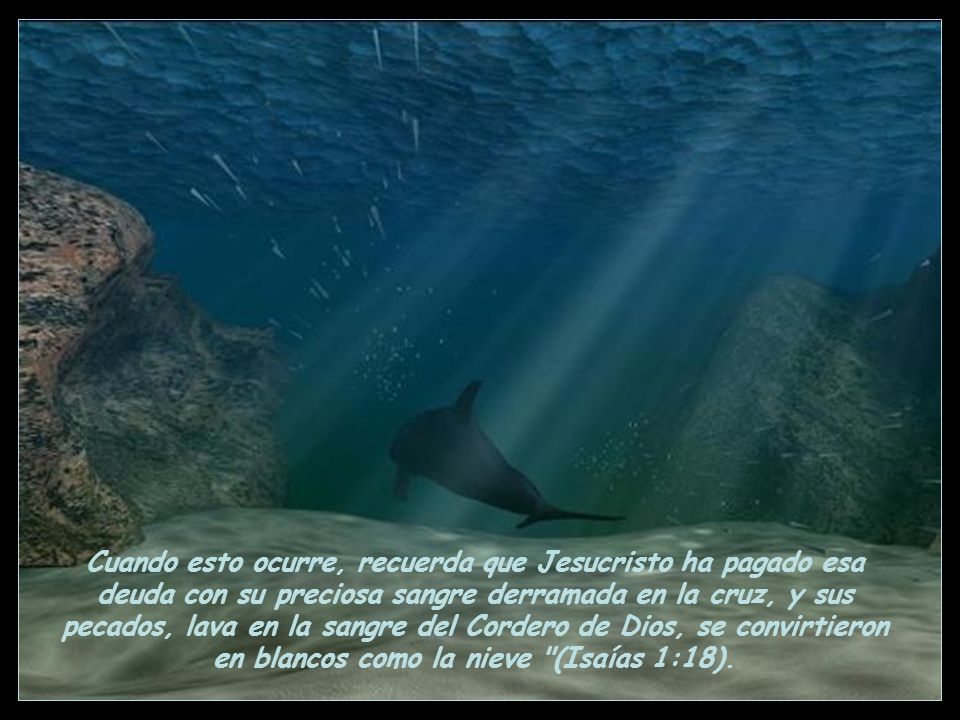 Cuando esto ocurre, recuerda que Jesucristo ha pagado esa deuda con su preciosa sangre derramada en la cruz, y sus pecados, lava en la sangre del Cordero de Dios, se convirtieron en blancos como la nieve (Isaías 1:18).