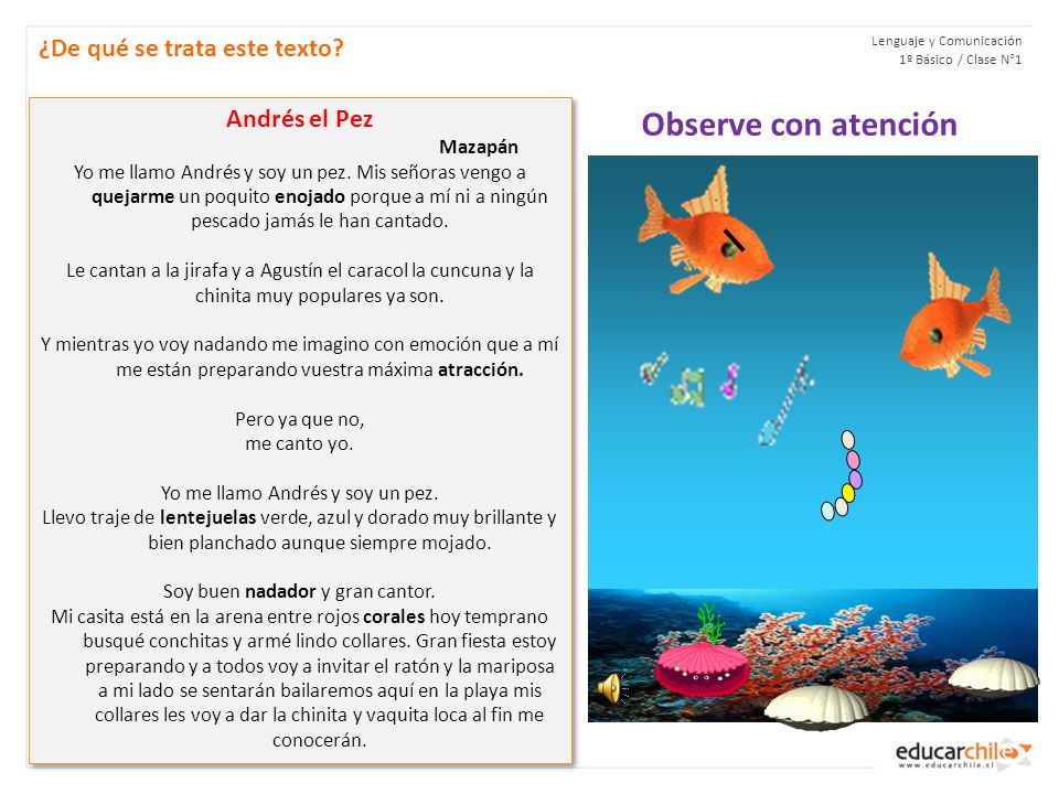 Observe con atención ¿De qué se trata este texto Andrés el Pez