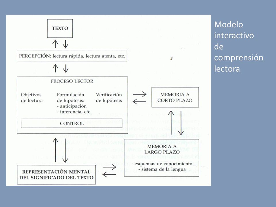 Modelo interactivo de comprensión lectora