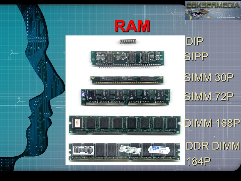 RAM DIP SIPP SIMM 30P SIMM 72P DIMM 168P DDR DIMM 184P