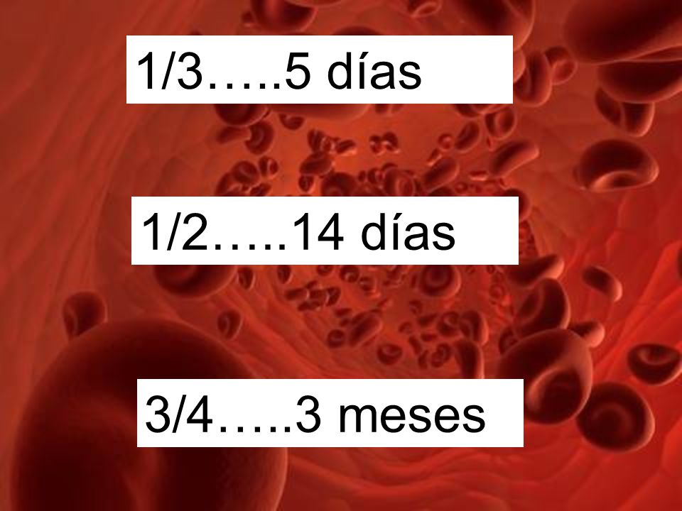 1/3…..5 días 1/2…..14 días. una tercera parte de los defectos de perfusión… la mitad desaparecen en 14 días.
