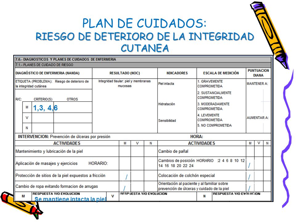PLAN DE CUIDADOS: RIESGO DE DETERIORO DE LA INTEGRIDAD CUTANEA