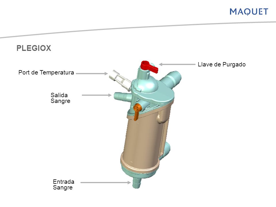 PLEGIOX Llave de Purgado Port de Temperatura Salida Sangre