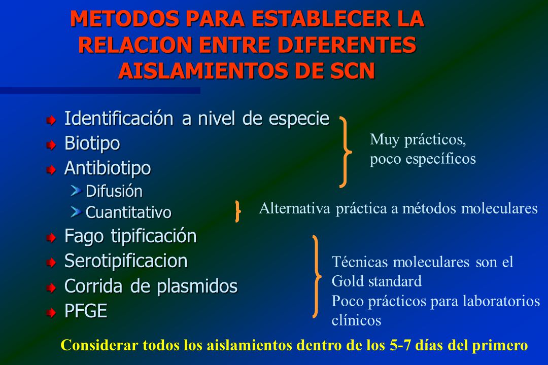 METODOS PARA ESTABLECER LA RELACION ENTRE DIFERENTES AISLAMIENTOS DE SCN