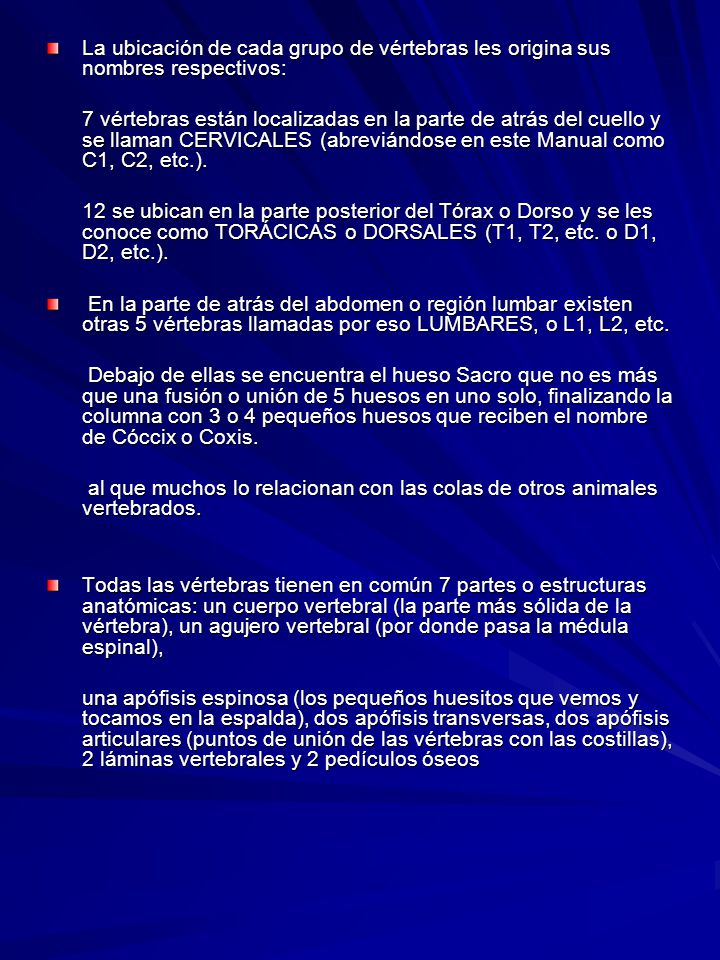 La ubicación de cada grupo de vértebras les origina sus nombres respectivos: