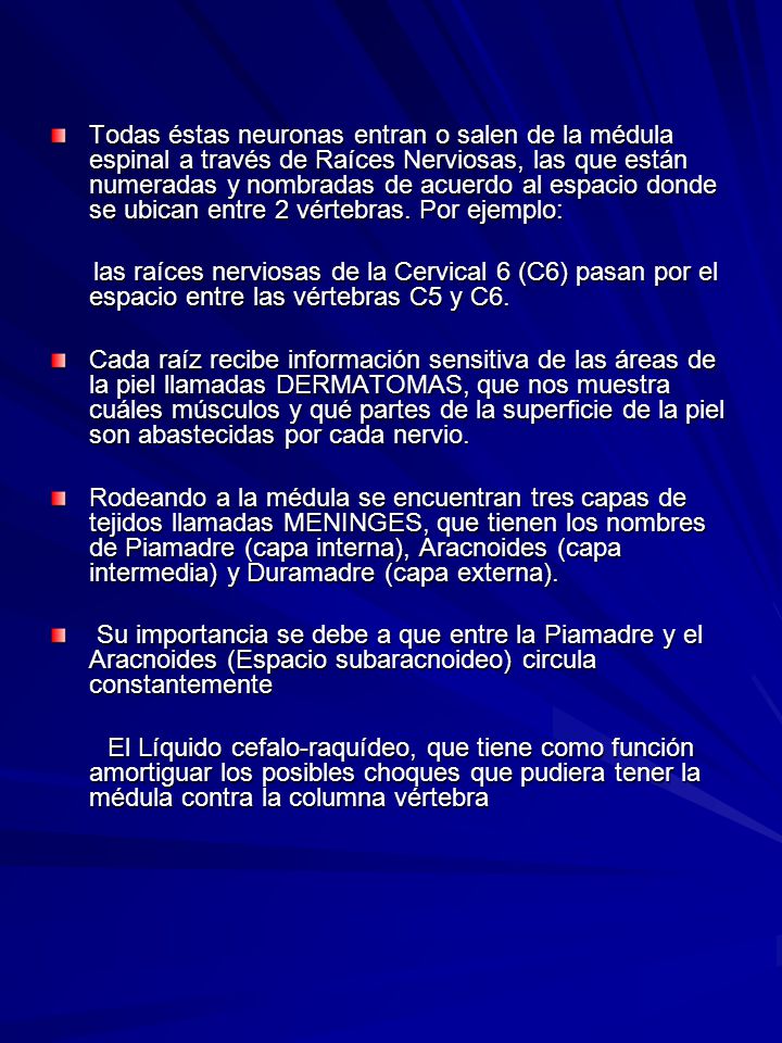 Todas éstas neuronas entran o salen de la médula espinal a través de Raíces Nerviosas, las que están numeradas y nombradas de acuerdo al espacio donde se ubican entre 2 vértebras. Por ejemplo:
