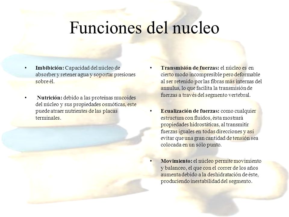 Funciones del nucleo Imbibición: Capacidad del núcleo de absorber y retener agua y soportar presiones sobre él.