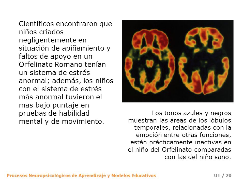 Científicos encontraron que niños criados negligentemente en situación de apiñamiento y faltos de apoyo en un Orfelinato Romano tenían un sistema de estrés anormal; además, los niños con el sistema de estrés más anormal tuvieron el mas bajo puntaje en pruebas de habilidad mental y de movimiento.