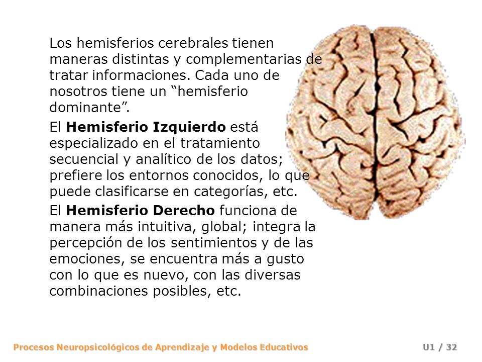 Los hemisferios cerebrales tienen maneras distintas y complementarias de tratar informaciones. Cada uno de nosotros tiene un hemisferio dominante .