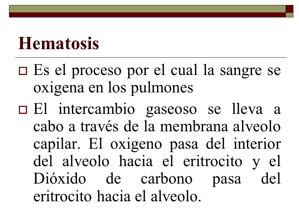 Hematosis Es el proceso por el cual la sangre se oxigena en los pulmones.