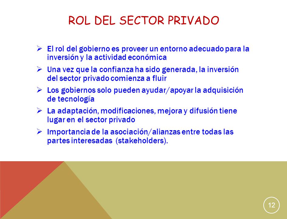 Rol del sector Privado El rol del gobierno es proveer un entorno adecuado para la inversión y la actividad económica.