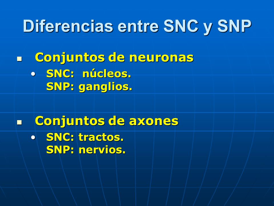 Diferencias entre SNC y SNP