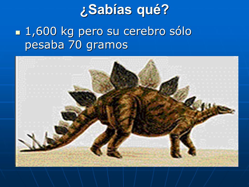 ¿Sabías qué 1,600 kg pero su cerebro sólo pesaba 70 gramos