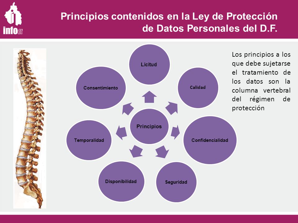 Principios contenidos en la Ley de Protección de Datos Personales del D.F.