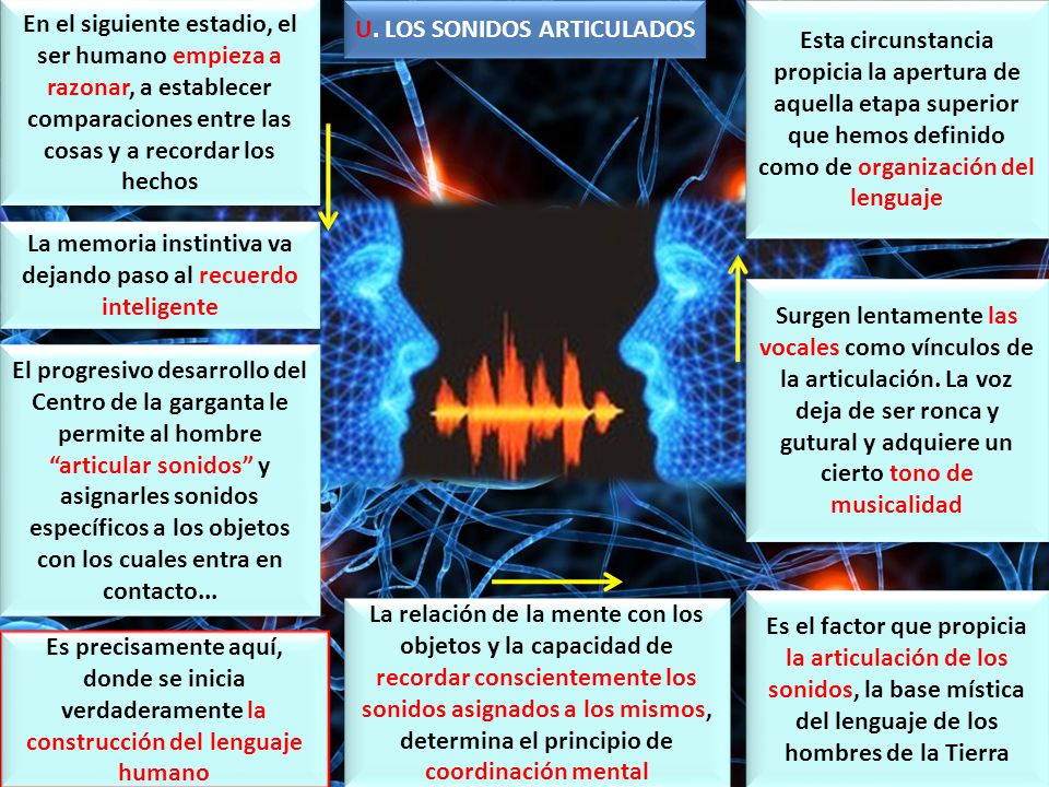 En el siguiente estadio, el ser humano empieza a razonar, a establecer