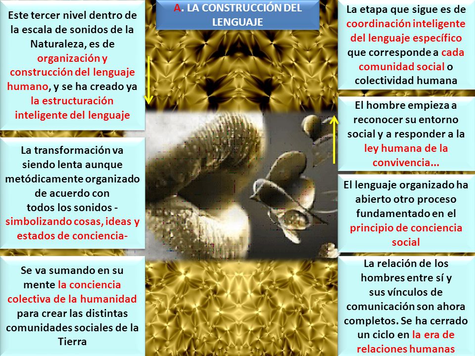 A. LA CONSTRUCCIÓN DEL LENGUAJE