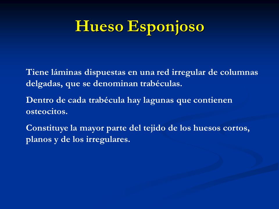 Hueso Esponjoso Tiene láminas dispuestas en una red irregular de columnas delgadas, que se denominan trabéculas.