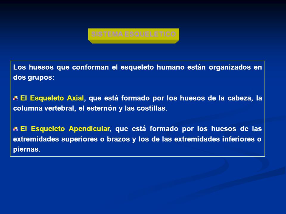 SISTEMA ESQUELETICO Los huesos que conforman el esqueleto humano están organizados en dos grupos: