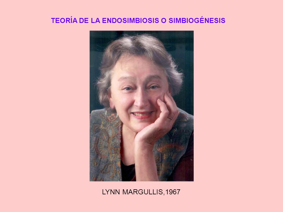 TEORÍA DE LA ENDOSIMBIOSIS O SIMBIOGÉNESIS