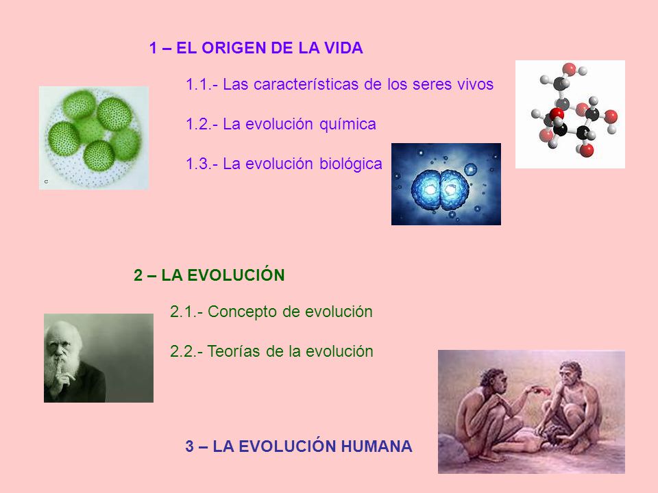 1 – EL ORIGEN DE LA VIDA Las características de los seres vivos La evolución química.