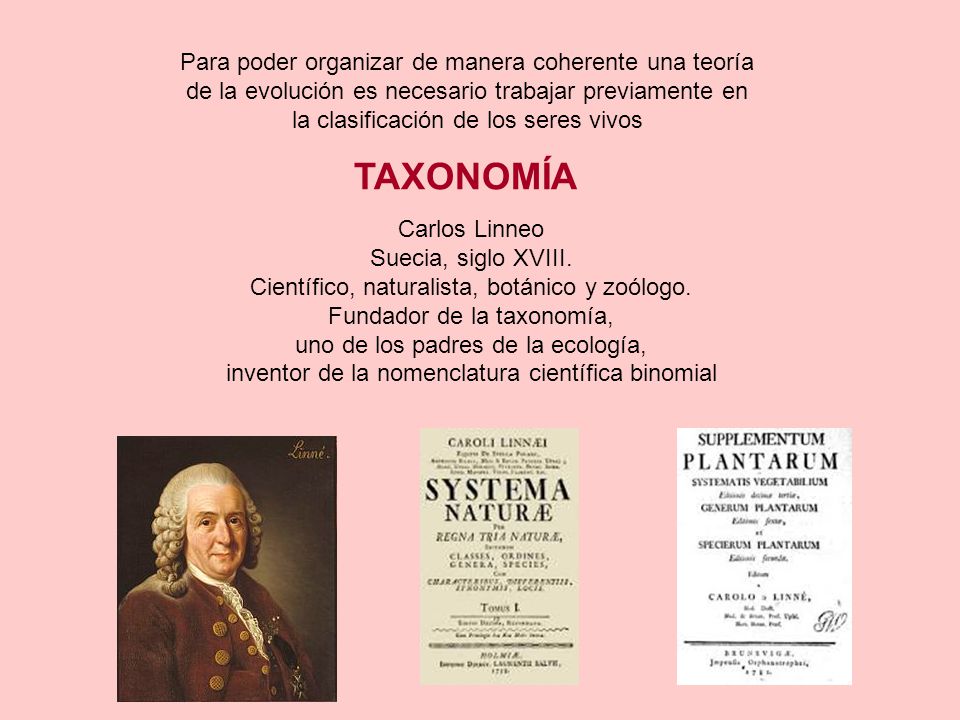 TAXONOMÍA Para poder organizar de manera coherente una teoría