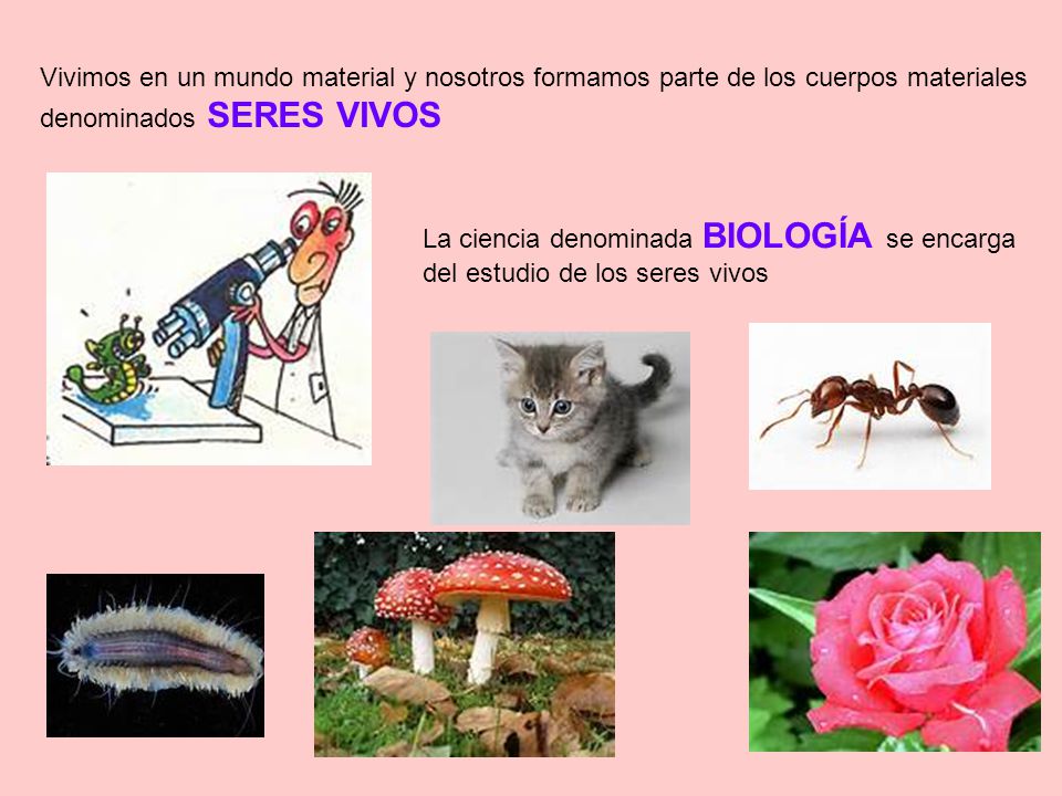 Vivimos en un mundo material y nosotros formamos parte de los cuerpos materiales