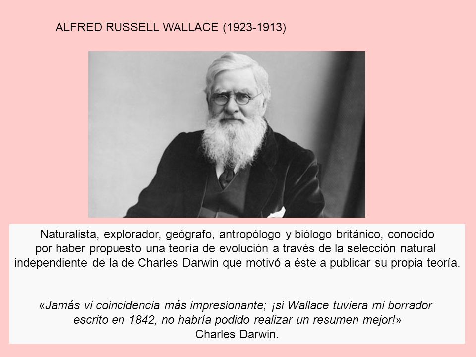 escrito en 1842, no habría podido realizar un resumen mejor!»