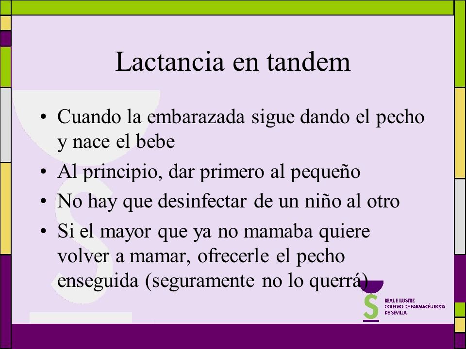 Lactancia en tandem Cuando la embarazada sigue dando el pecho y nace el bebe. Al principio, dar primero al pequeño.