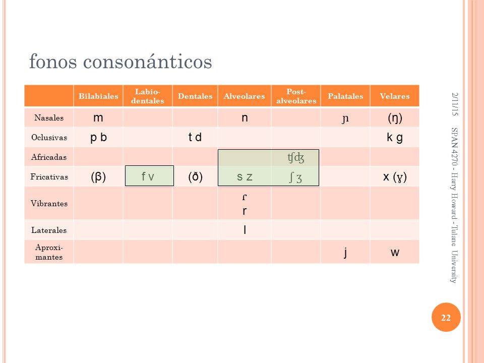 fonos consonánticos m n ɲ (ŋ) p b t d k g ʧʤ (β) f v (ð) s z ʃ ʒ x (ɣ)