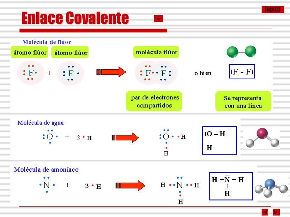 Enlace Covalente Molécula de flúor O – H H H –N – H H