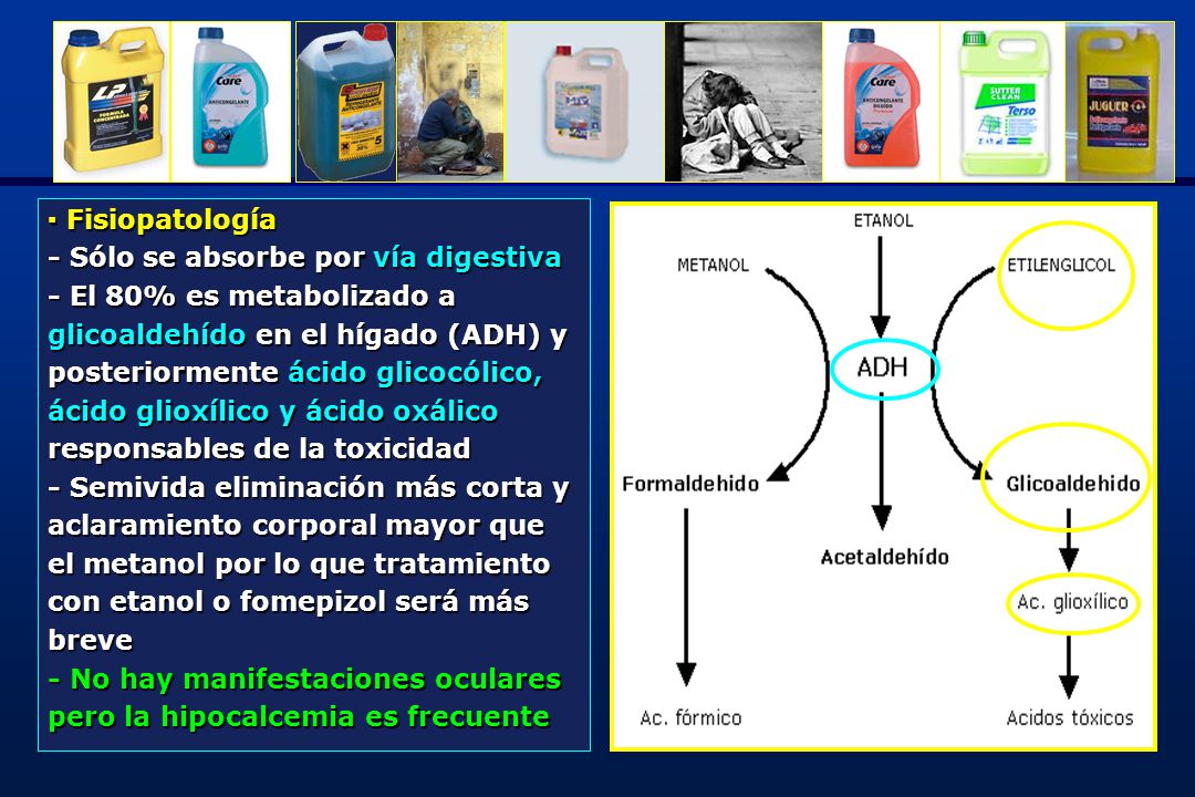 ▪ Fisiopatología - Sólo se absorbe por vía digestiva. - El 80% es metabolizado a. glicoaldehído en el hígado (ADH) y.