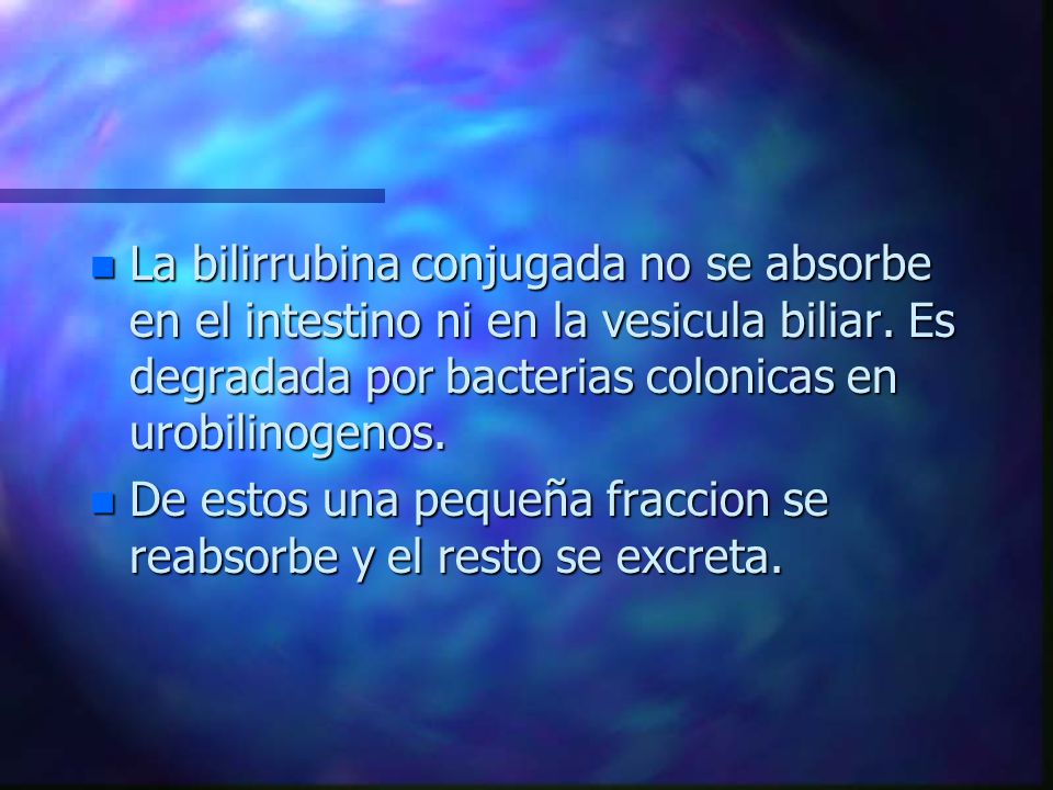 La bilirrubina conjugada no se absorbe en el intestino ni en la vesicula biliar. Es degradada por bacterias colonicas en urobilinogenos.