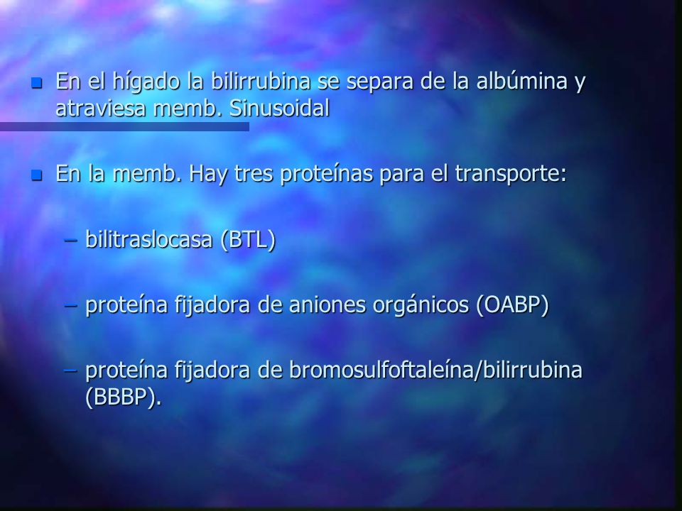 En el hígado la bilirrubina se separa de la albúmina y atraviesa memb