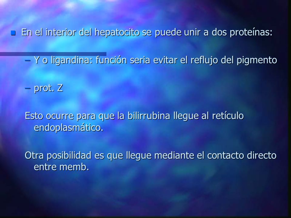 En el interior del hepatocito se puede unir a dos proteínas: