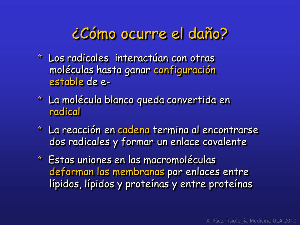 ¿Cómo ocurre el daño * Los radicales interactúan con otras