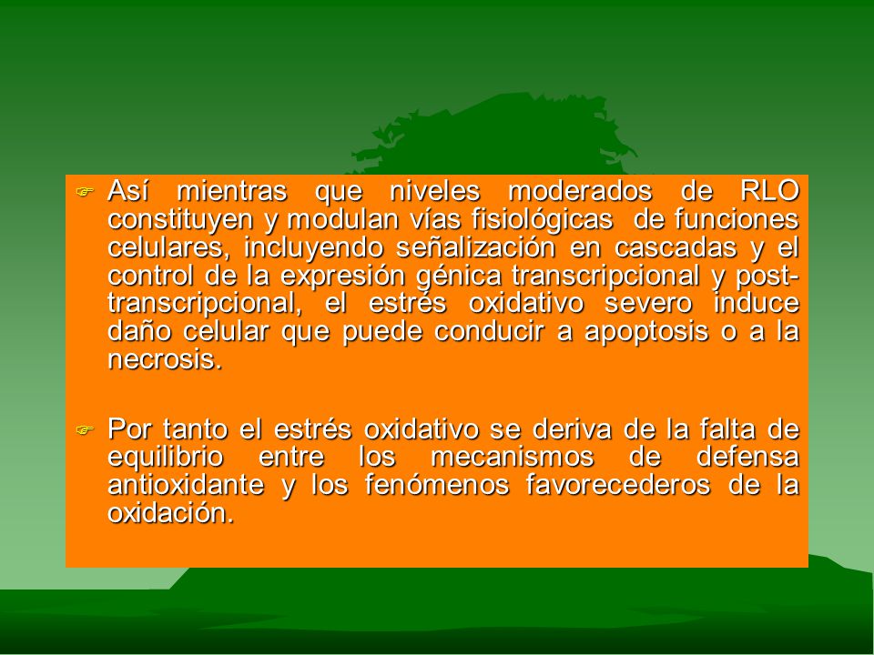 Así mientras que niveles moderados de RLO constituyen y modulan vías fisiológicas de funciones celulares, incluyendo señalización en cascadas y el control de la expresión génica transcripcional y post-transcripcional, el estrés oxidativo severo induce daño celular que puede conducir a apoptosis o a la necrosis.