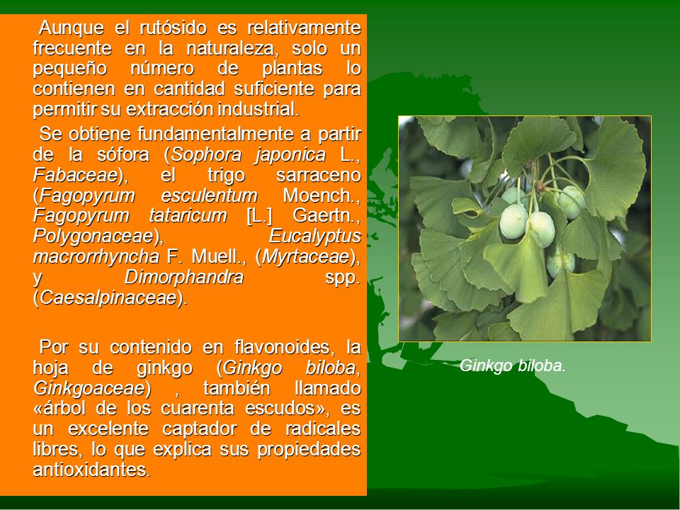 Aunque el rutósido es relativamente frecuente en la naturaleza, solo un pequeño número de plantas lo contienen en cantidad suficiente para permitir su extracción industrial.