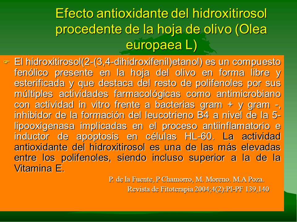 Efecto antioxidante del hidroxitirosol procedente de la hoja de olivo (Olea europaea L)