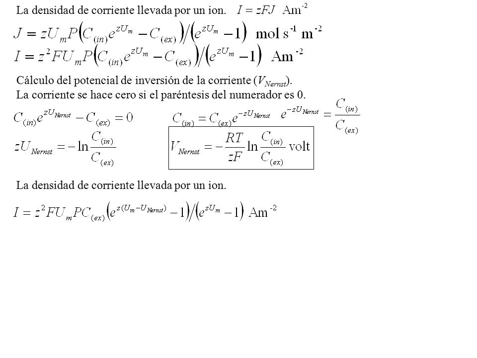 La densidad de corriente llevada por un ion.