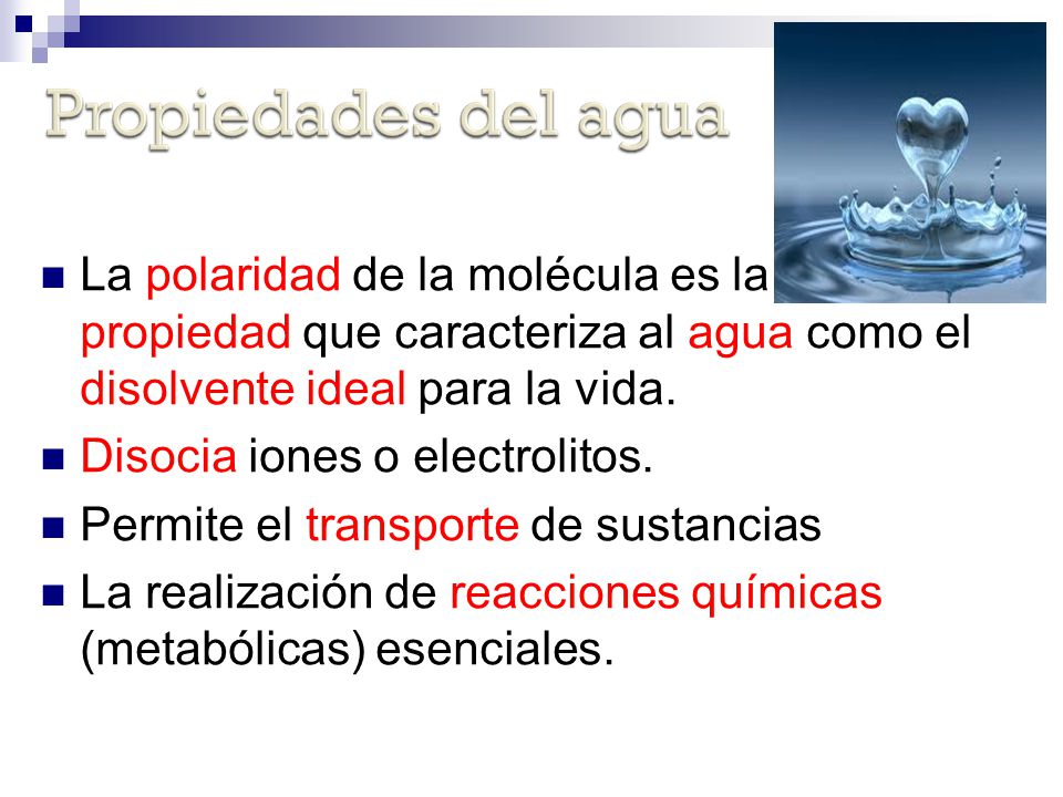 La polaridad de la molécula es la propiedad que caracteriza al agua como el disolvente ideal para la vida.