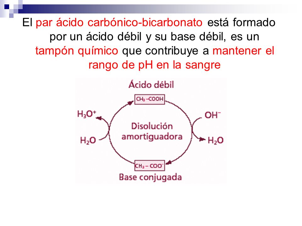 El par ácido carbónico-bicarbonato está formado por un ácido débil y su base débil, es un tampón químico que contribuye a mantener el rango de pH en la sangre