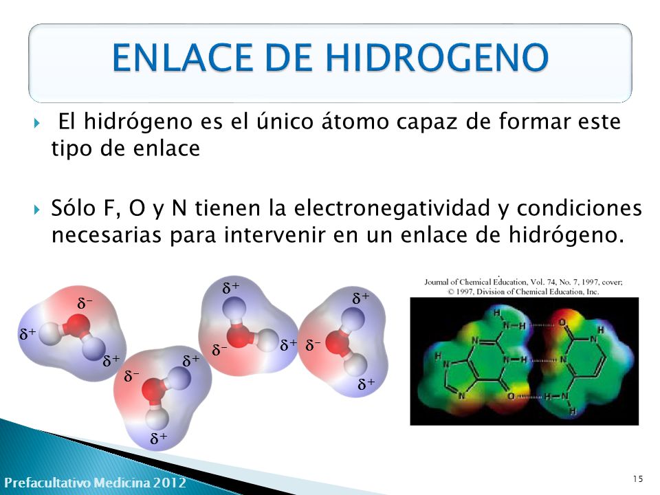 ENLACE DE HIDROGENO El hidrógeno es el único átomo capaz de formar este tipo de enlace.