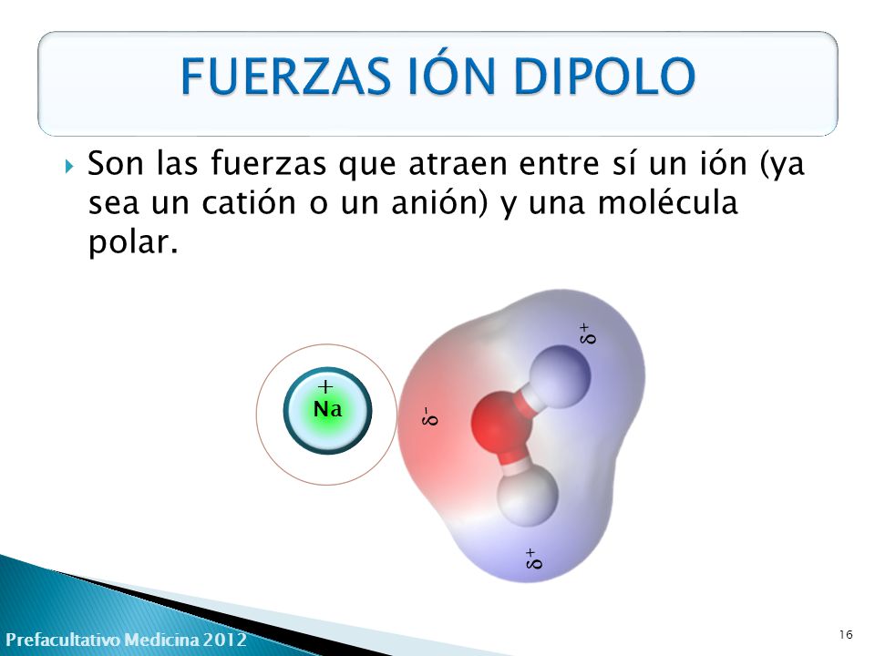 FUERZAS IÓN DIPOLO Son las fuerzas que atraen entre sí un ión (ya sea un catión o un anión) y una molécula polar.