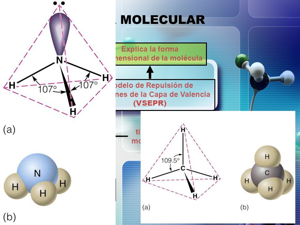 GEOMETRÍA MOLECULAR Explica la forma tridimensional de la molécula