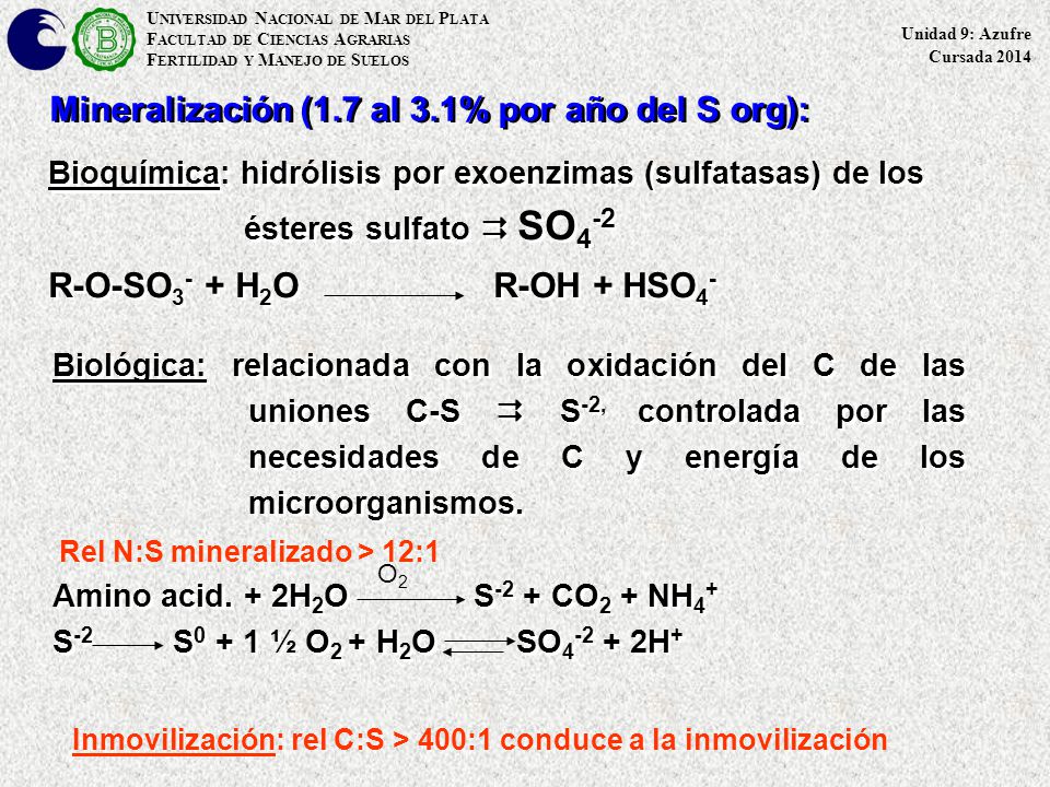 Mineralización (1.7 al 3.1% por año del S org):