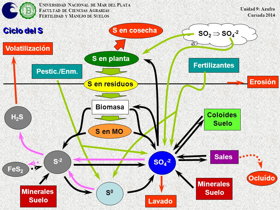 Ciclo del S S en cosecha SO2  SO4-2 Volatilización S en planta